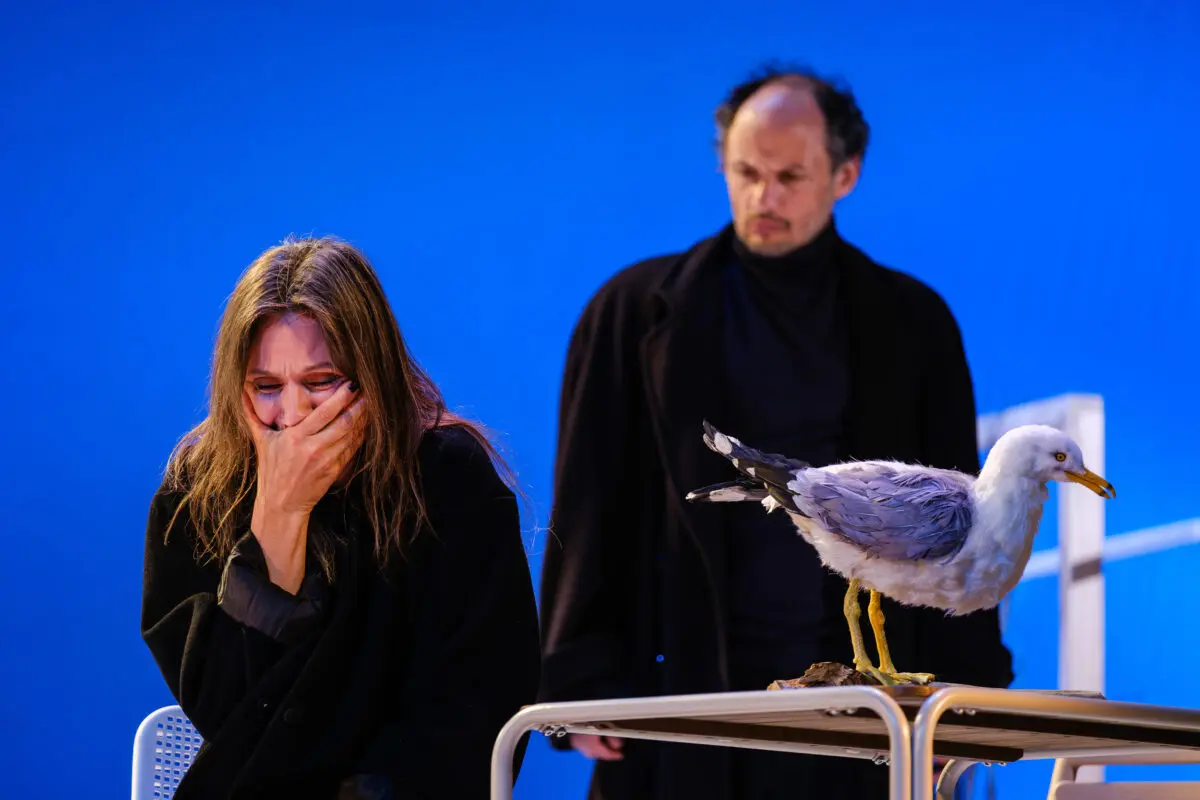 Otwórz zdjęcie 8 z 18 w pełnym rozmiarze