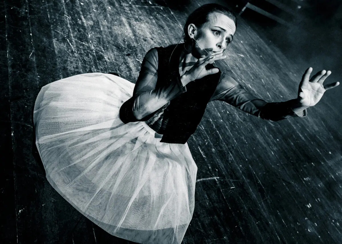 Otwórz zdjęcie 12 z 12: HAWA