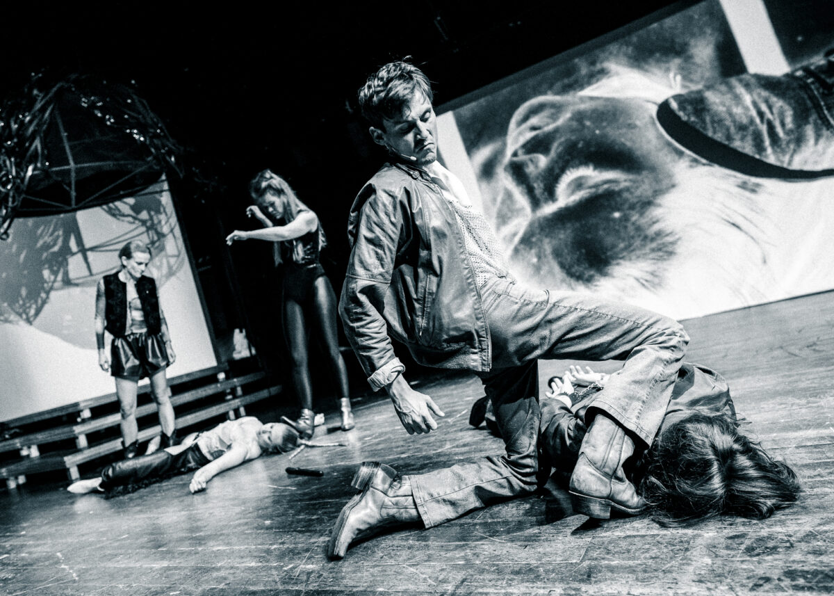 Otwórz zdjęcie 5 z 7: Fot. HAWA Habryn/Wawrzoła