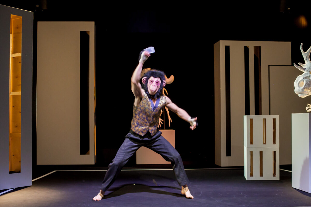 Otwórz zdjęcie 5 z 12 w pełnym rozmiarze